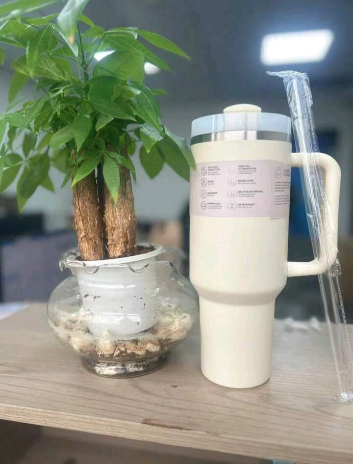 Tumbler Drinkware With Handle